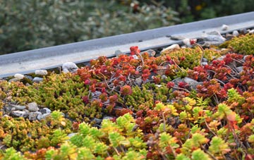 the cost of Osnaburgh Or Dairsie green roof installation