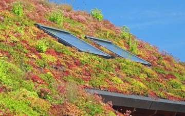 Osnaburgh Or Dairsie living roof systems