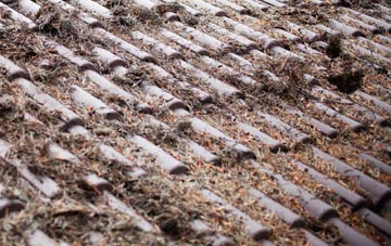 Osnaburgh Or Dairsie roof cleaning companies