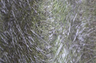 Osnaburgh Or Dairsie fibreglass roof work